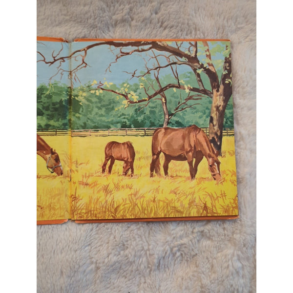 Walt Disney Stormy 1954 HC Vtg Book HC Paul Souza Whitman Thoroughbred Horse