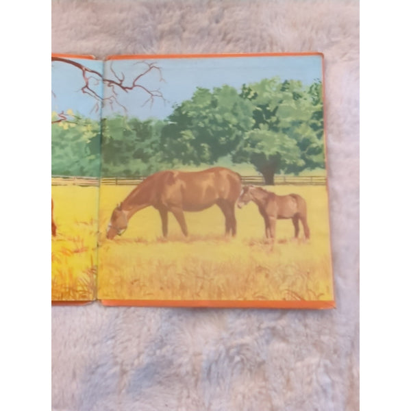 Walt Disney Stormy 1954 HC Vtg Book HC Paul Souza Whitman Thoroughbred Horse