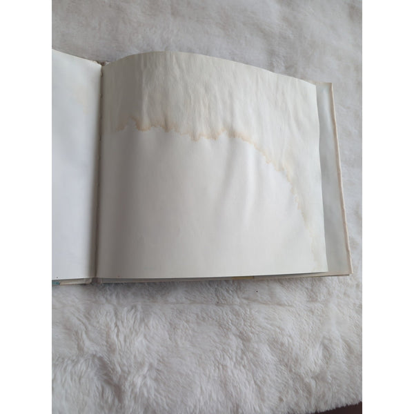 Matt's Mitt Marilyn Sachs HILARY KNIGHT First Ed Vtg HC DJ 1975 Water Damage See