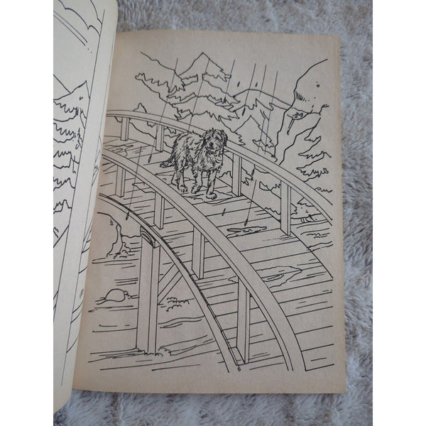 Vintage 1979 Whitman Joe Camp BENJI Dog Coloring Book Unused Children Color Art