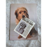 Vintage 1979 Whitman Joe Camp BENJI Dog Coloring Book Unused Children Color Art