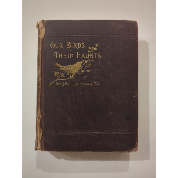 ANTIQUE 1884 VICTORIAN BIRD BOOK OUR BIRDS IN THEIR HAUNTS J. H. LANGILLE HC Vtg