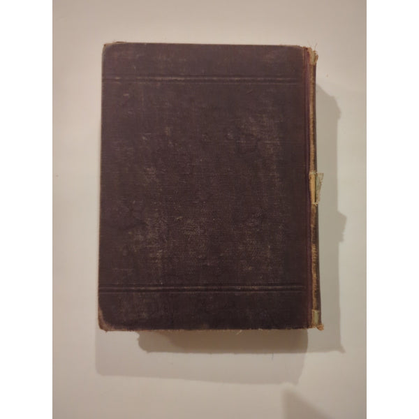 ANTIQUE 1884 VICTORIAN BIRD BOOK OUR BIRDS IN THEIR HAUNTS J. H. LANGILLE HC Vtg