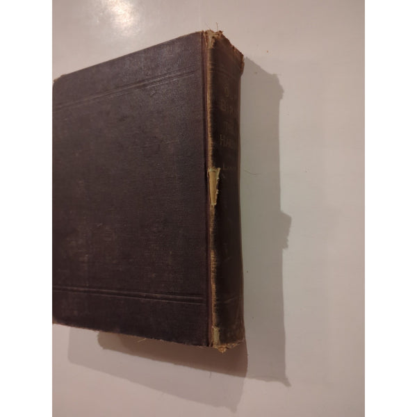 ANTIQUE 1884 VICTORIAN BIRD BOOK OUR BIRDS IN THEIR HAUNTS J. H. LANGILLE HC Vtg