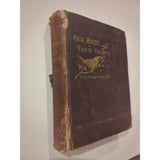 ANTIQUE 1884 VICTORIAN BIRD BOOK OUR BIRDS IN THEIR HAUNTS J. H. LANGILLE HC Vtg