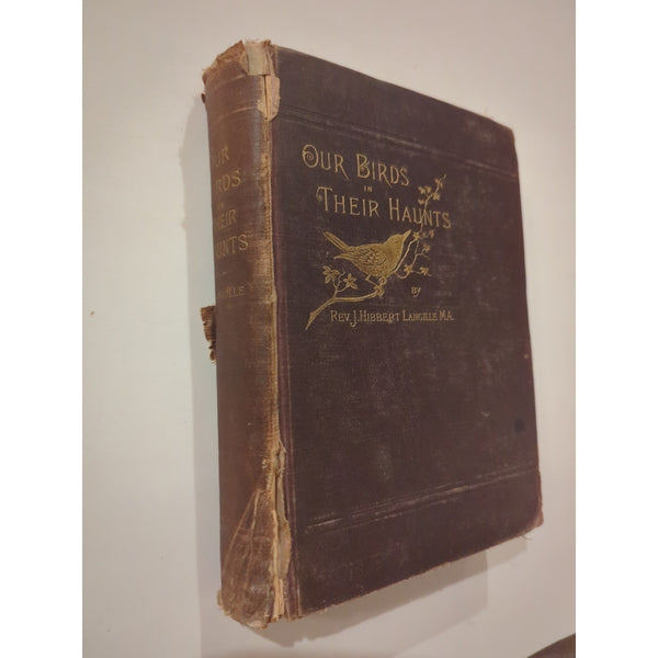 ANTIQUE 1884 VICTORIAN BIRD BOOK OUR BIRDS IN THEIR HAUNTS J. H. LANGILLE HC Vtg