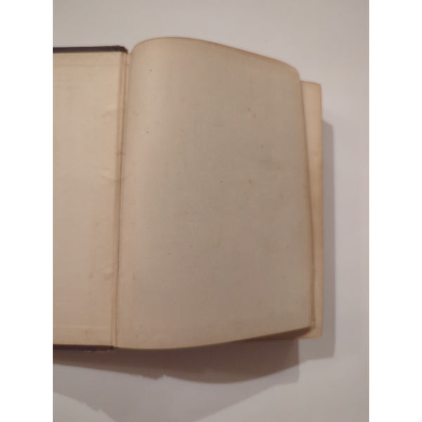 ANTIQUE 1884 VICTORIAN BIRD BOOK OUR BIRDS IN THEIR HAUNTS J. H. LANGILLE HC Vtg