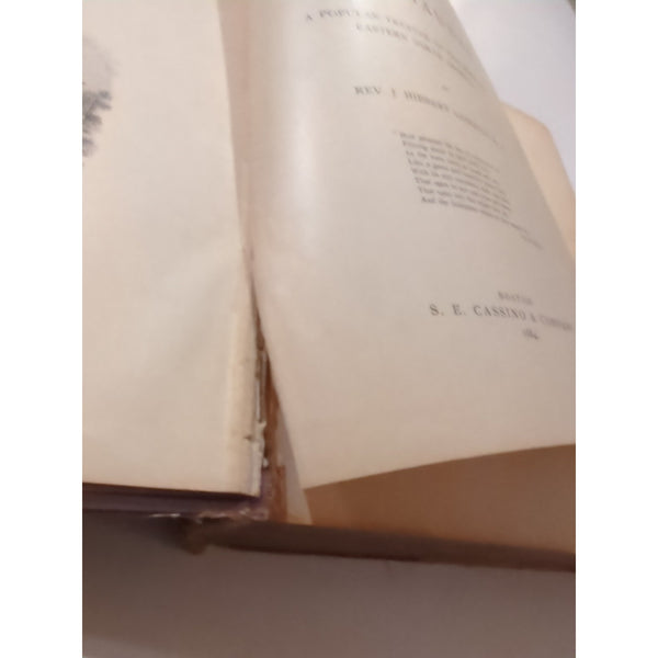 ANTIQUE 1884 VICTORIAN BIRD BOOK OUR BIRDS IN THEIR HAUNTS J. H. LANGILLE HC Vtg