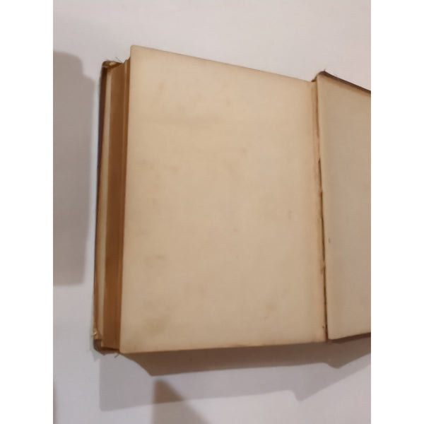 ANTIQUE 1884 VICTORIAN BIRD BOOK OUR BIRDS IN THEIR HAUNTS J. H. LANGILLE HC Vtg