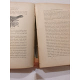 ANTIQUE 1884 VICTORIAN BIRD BOOK OUR BIRDS IN THEIR HAUNTS J. H. LANGILLE HC Vtg
