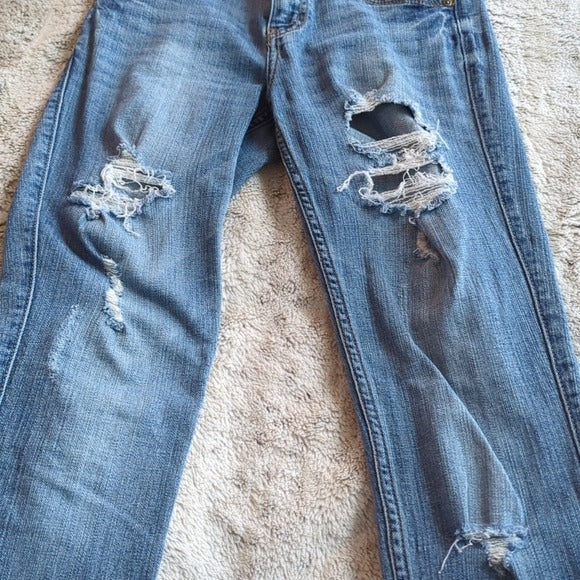 Eunina Distressed Maxwell Mid Rise Skinny Regular Blue Jeans Size 5