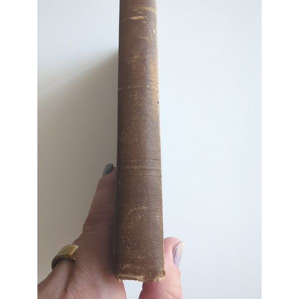 History And Progress Of Phrenology 1839 R.W. Haskins Steele And Peck Putnam 1st