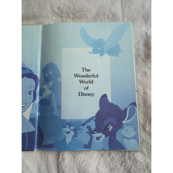 Vintage Disney The Aristocats Hardcover Book 1988 Children Story Twins Derrydale