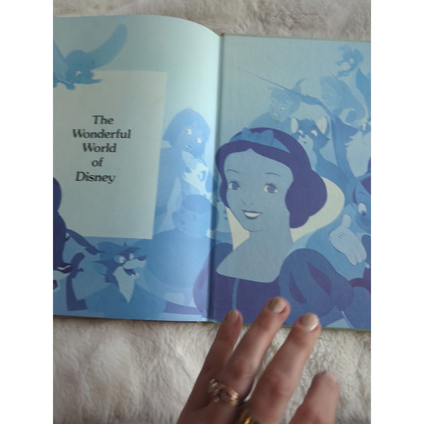 Vintage Disney The Aristocats Hardcover Book 1988 Children Story Twins Derrydale