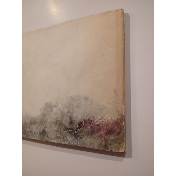 Rare ALWAYS ROOM FOR ONE MORE Sorche Nic Leodhas 1965 Stated 1st Ed HC DJ Vtg