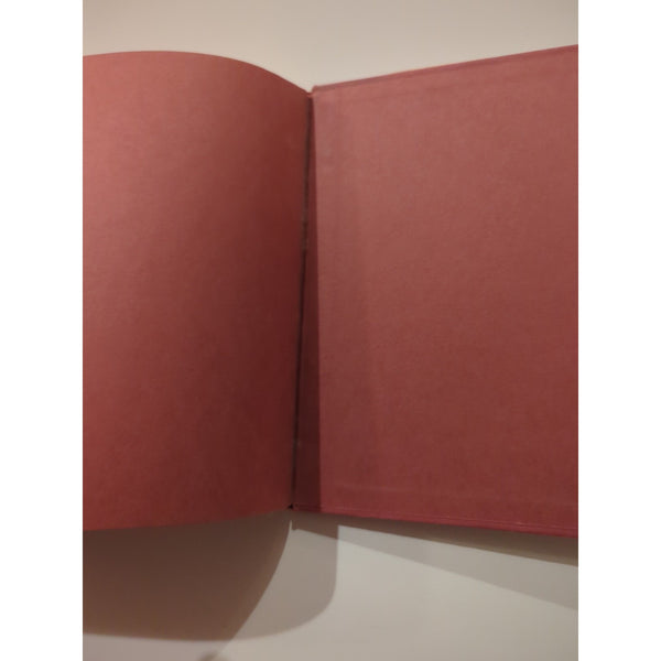 Rare ALWAYS ROOM FOR ONE MORE Sorche Nic Leodhas 1965 Stated 1st Ed HC DJ Vtg