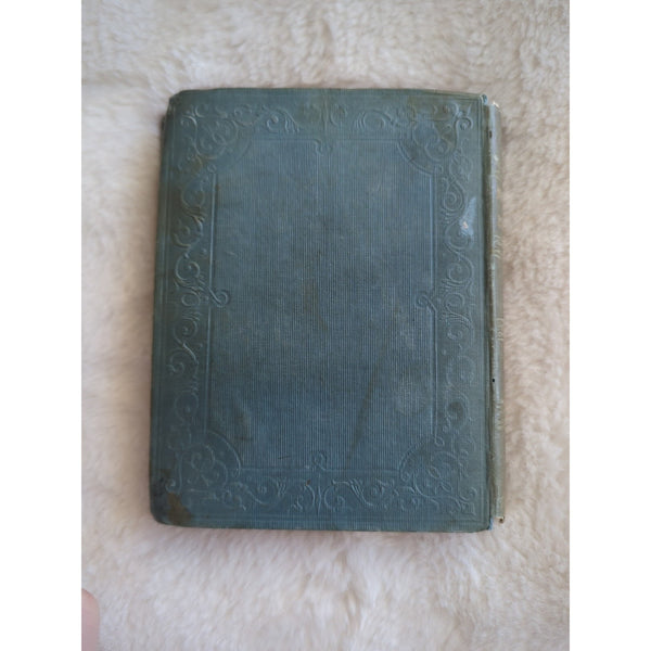 1846 Rev C.A. Johns Botanical Rambles London SPCK Engravings HC Rough Condition