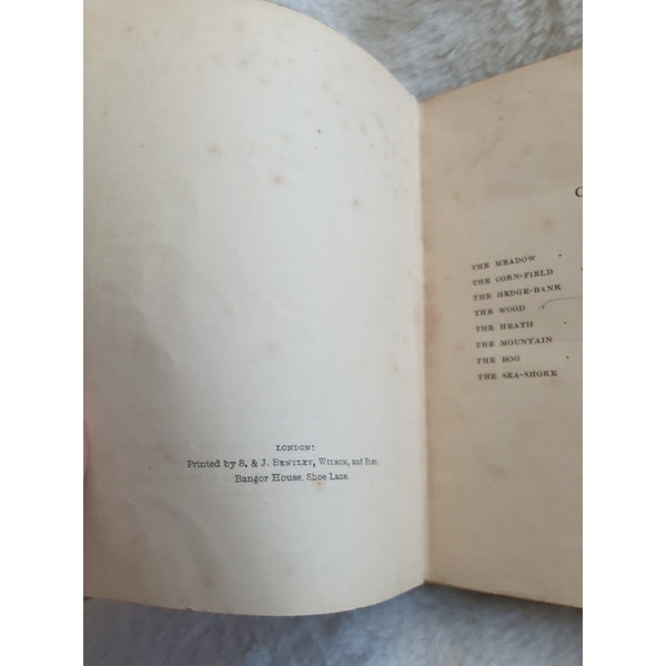 1846 Rev C.A. Johns Botanical Rambles London SPCK Engravings HC Rough Condition