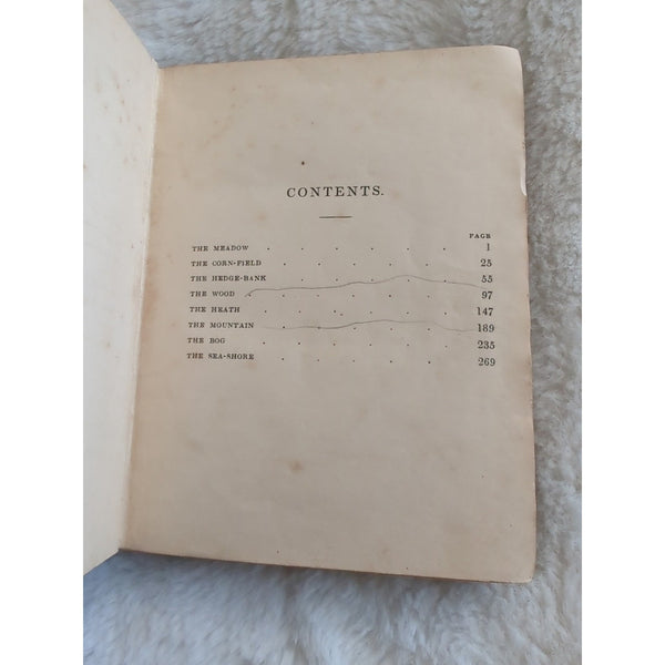 1846 Rev C.A. Johns Botanical Rambles London SPCK Engravings HC Rough Condition