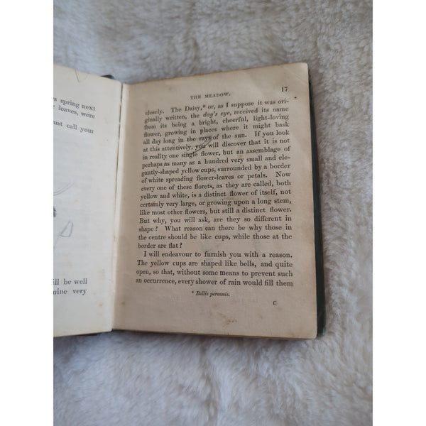 1846 Rev C.A. Johns Botanical Rambles London SPCK Engravings HC Rough Condition