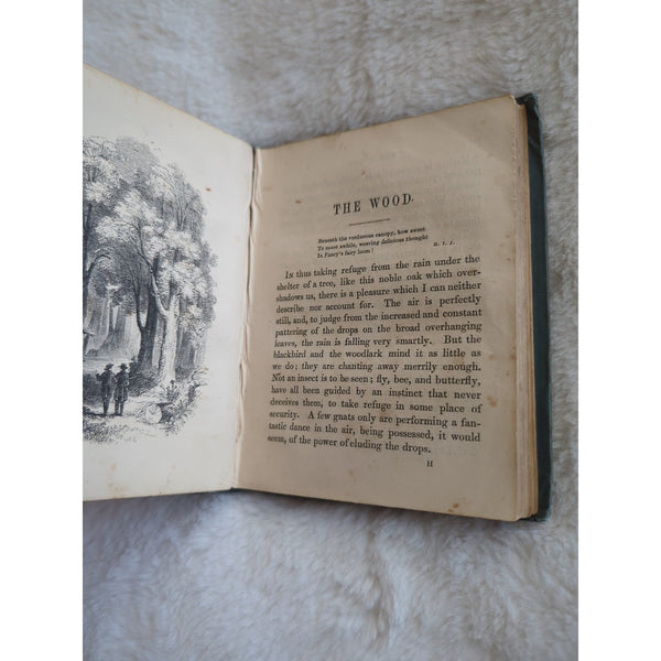 1846 Rev C.A. Johns Botanical Rambles London SPCK Engravings HC Rough Condition