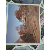 UNION PACIFIC RAILROAD COLOR PHOTO WITH ORIGINAL ENVELOPE 13 x 11 Lot Of 16 Vtg