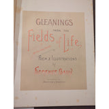 Florence Baily Gleanings from the Fields of Life Oversized Hardcover Book 1882