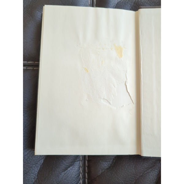 My Name Is Asher Lev by Chaim Potok 1972 Hardcover Dust Jacket Vintage 6th