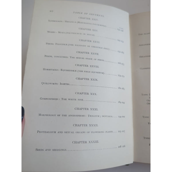 Lessons In Botany George Francis Atkinson 1900 First Edition HC Vtg Ex Library