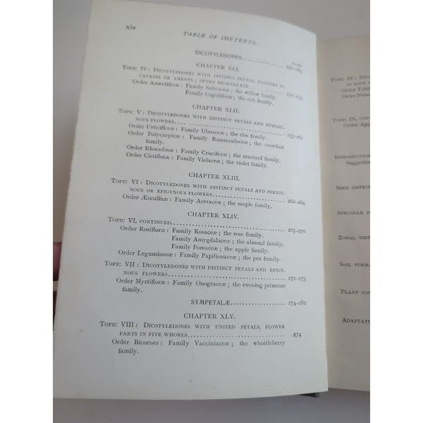 Lessons In Botany George Francis Atkinson 1900 First Edition HC Vtg Ex Library