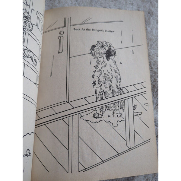 Vintage 1979 Whitman Joe Camp BENJI Dog Coloring Book Unused Children Color Art