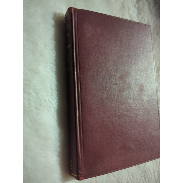 Genesis In The Light Of The New Testament F W Grant Circa 1900s Loizeaux HC Vtg