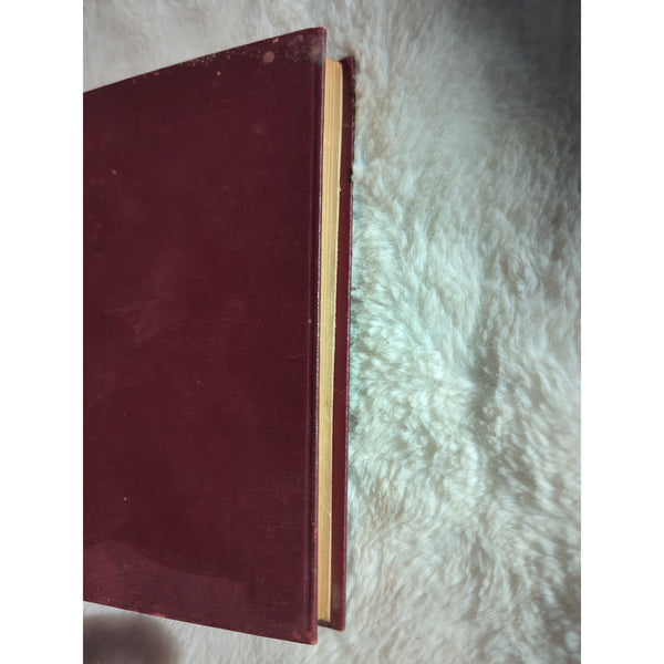 Genesis In The Light Of The New Testament F W Grant Circa 1900s Loizeaux HC Vtg