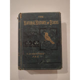 The Natural History of Birds by T. Rymer Jones Late 1800s HC Antique