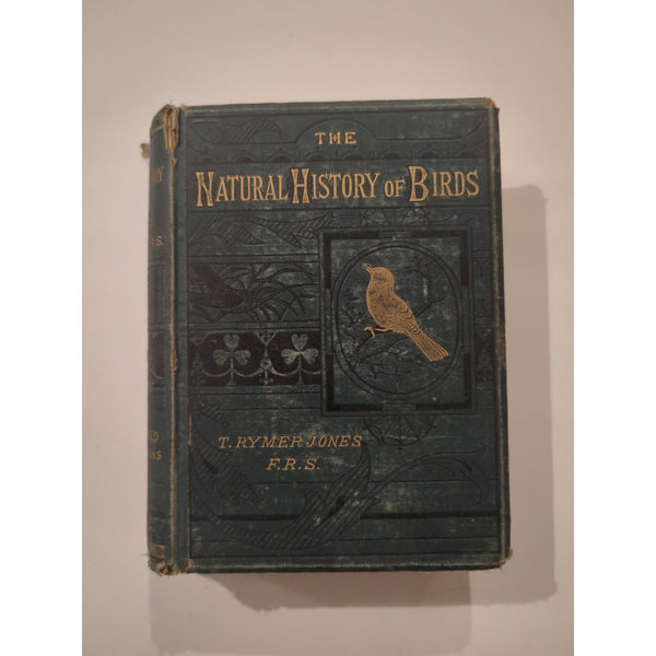The Natural History of Birds by T. Rymer Jones Late 1800s HC Antique