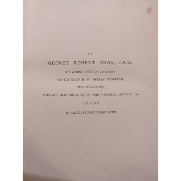 The Natural History of Birds by T. Rymer Jones Late 1800s HC Antique