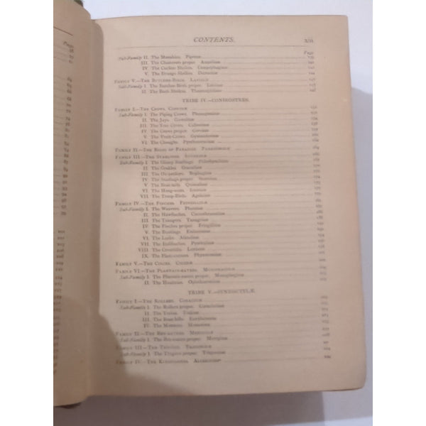 The Natural History of Birds by T. Rymer Jones Late 1800s HC Antique