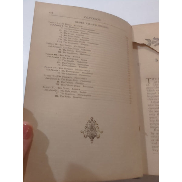 The Natural History of Birds by T. Rymer Jones Late 1800s HC Antique