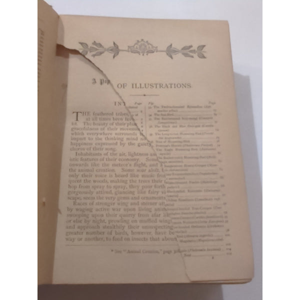 The Natural History of Birds by T. Rymer Jones Late 1800s HC Antique