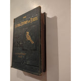 The Natural History of Birds by T. Rymer Jones Late 1800s HC Antique