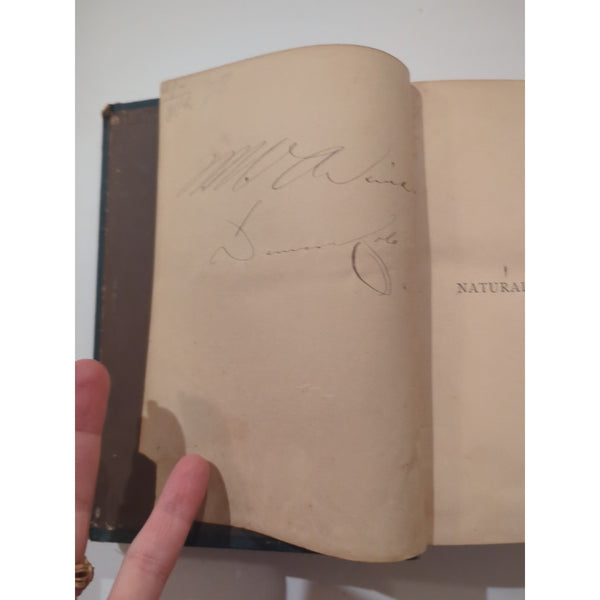 The Natural History of Birds by T. Rymer Jones Late 1800s HC Antique