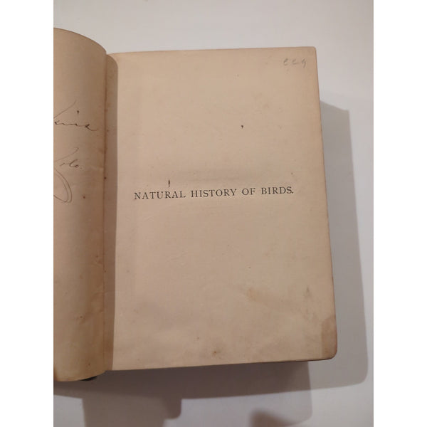 The Natural History of Birds by T. Rymer Jones Late 1800s HC Antique