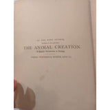 The Natural History of Birds by T. Rymer Jones Late 1800s HC Antique