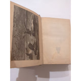 The Natural History of Birds by T. Rymer Jones Late 1800s HC Antique