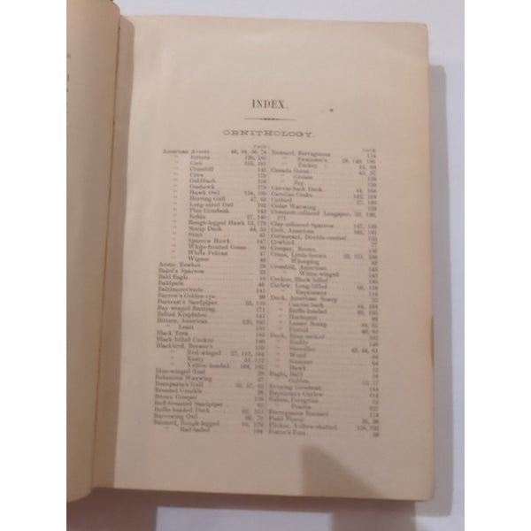Bird Nesting in North-West Canada HC Antique Vtg Walter Raine 1892 1st Edition