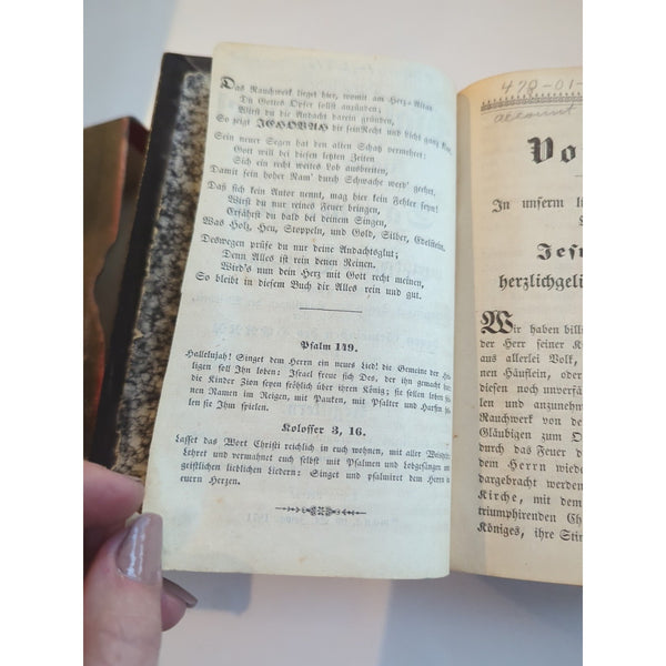 Davidisches Psalter Spiel der Kinder Zions oder Sammenlung (Psalms of David) HC