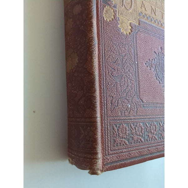 The Vision or Hell Purgatory & Paradise Dante Alighieri 1880 (C) Rev H F Cary HC