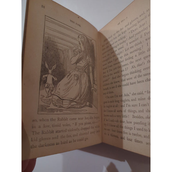 1887 Circa Alice’s Adventures in Wonderland Lewis Carroll Tenniel Illustrated HC