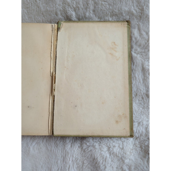 Little Rosebud's Lovers By Laura Jean Libbey 1886 Hardcover Antique Book Vtg