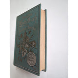 1879 German Cookbook Koch Buch fur die Deutschen in Amerika by Henriette Davidis